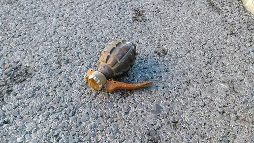 Grenade à la déchetterie de Rethel
