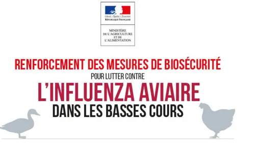 Grippe aviaire : levée de la zone de contrôle temporaire