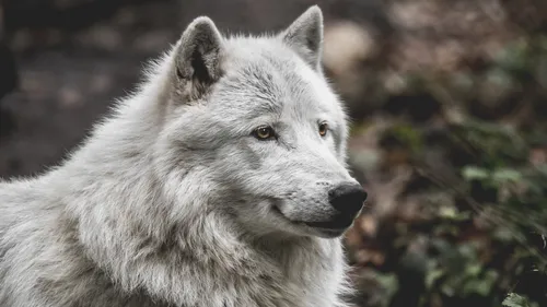 Des nouveautés au Parc Argonne Découverte dans les Ardennes