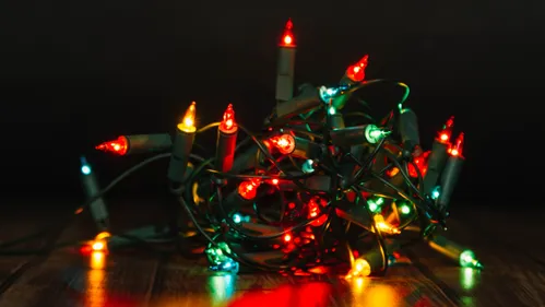 Fêtes de fin d'année : où doit-on jeter les guirlandes électriques...