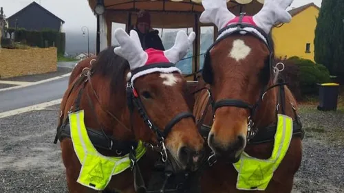 Il sera encore plus grand cette année ! 