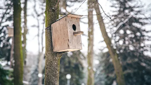 Déposez un nichoir dans ce parc animalier