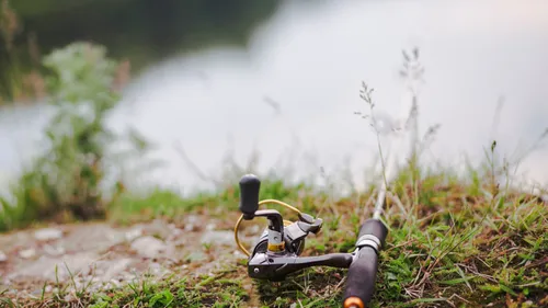 Bairon : des centaines de poissons morts retrouvées dans un bassin...