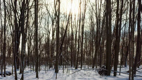 Alerte jaune grand froid dans la région
