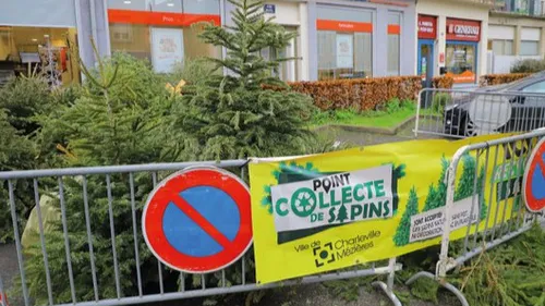 Que faire de son sapin de Noël ?
