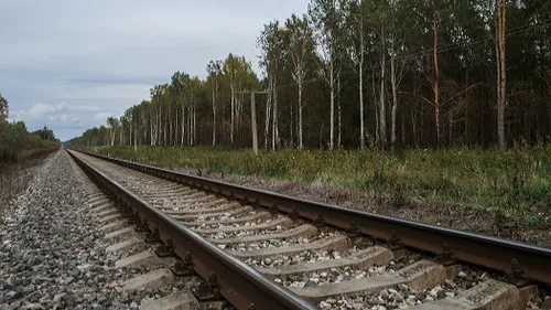 Les perturbations se poursuivent sur le rail