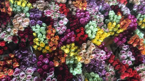 Les motards ardennais remontent en selle pour l'opération "Une rose...