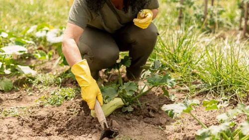 Les maraîchers bio demandent aux Ardennais de les soutenir
