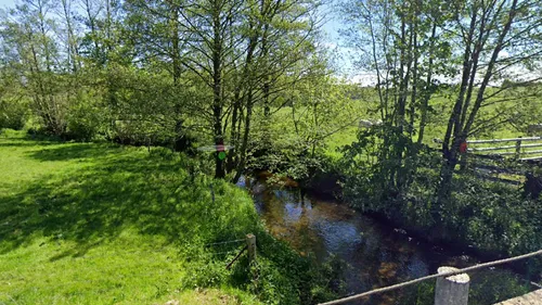 Ardennes - La consommation des poissons interdite dans une rivière...