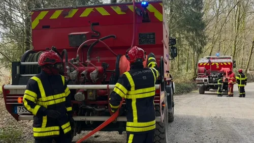 Une formation aux feux de broussailles