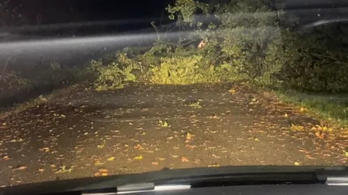 Des rafales de vent, jusqu'à 90 km/h, touchent nos Ardennes