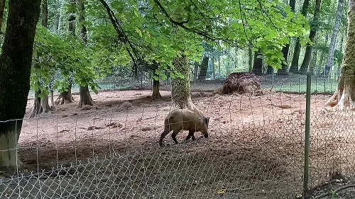 Il est toujours autant demandé par les visiteurs