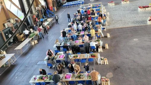 33 mille roses sont à préparer