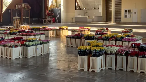 Plus de 27 000 roses emballées pour l'opération "Une rose un espoir"