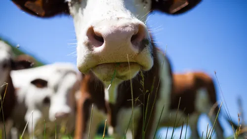 Le trafic ferroviaire interrompu dans les Ardennes en raison......