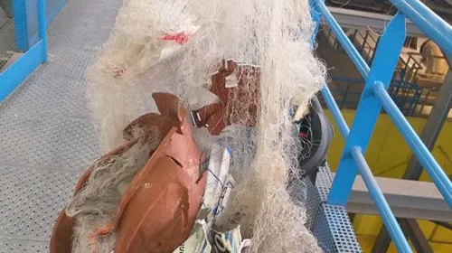 Attention à le jeter dans la bonne poubelle