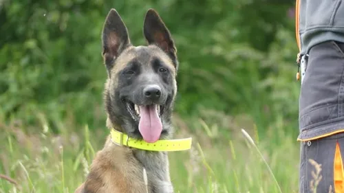 Il devient gendarme !