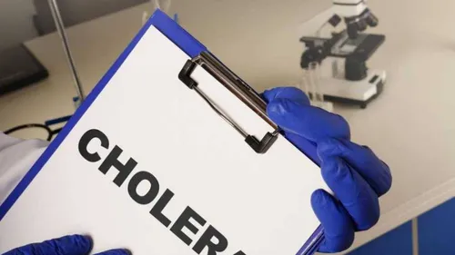 LE JOURNAL DU LIBAN DU SOIR DU 11/11/2022