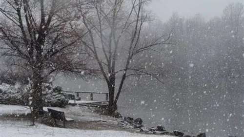 LE JOURNAL DU LIBAN DE LA MI-JOURNEE DU 13/01/23