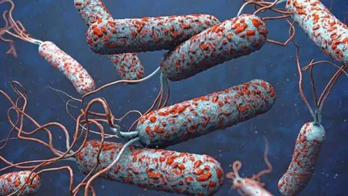 LE JOURNAL DU LIBAN DU SOIR DU 20/10/2022