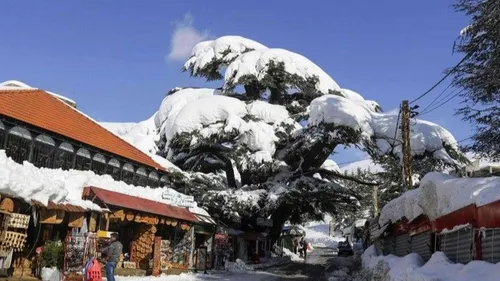 LE JOURNAL DU LIBAN DE LA MI-JOURNÉE DU 13/12/23