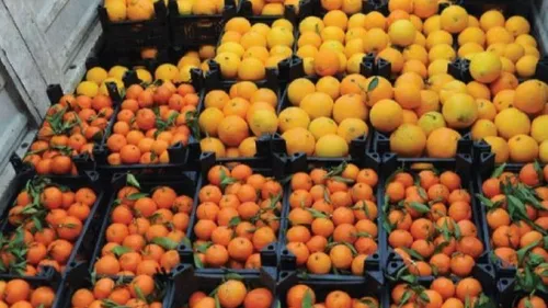 LE JOURNAL DU LIBAN DU SOIR DU 22/09/23