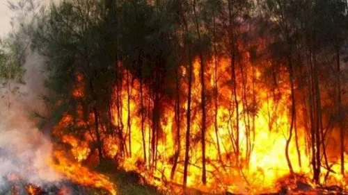 LE JOURNAL DU LIBAN DE LA MI-JOURNÉE DU 7/07/23