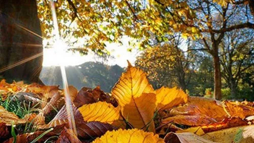 LE JOURNAL DU LIBAN DE LA MI-JOURNEE DU 21/10/22