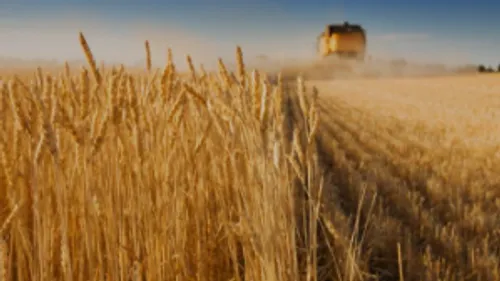 LE JOURNAL DU LIBAN DU SOIR DU 24/06/22