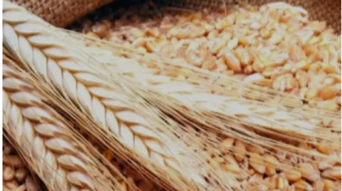 LE JOURNAL DU LIBAN DE LA MI-JOURNEE DU 29/09/22