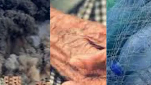 LE JOURNAL EN LANGUE ARABE DE 12H30 DU 24/04/24