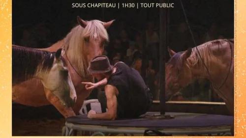 Gagnez vos places pour le spectacle "Zusammen" (cirque équestre)