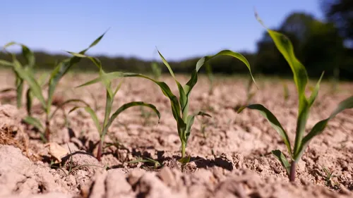Climat : 2024, première année à dépasser le seuil des +1,5°C