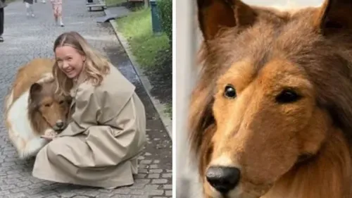 14 000 $ pour devenir un chien : l'incroyable histoire de Toco,...