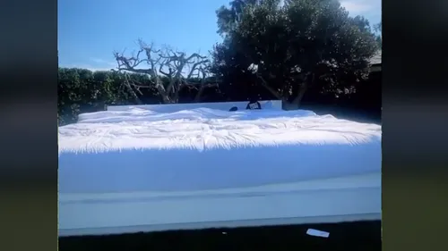 Diddy : un lit géant dans son jardin ne joue pas en sa faveur
