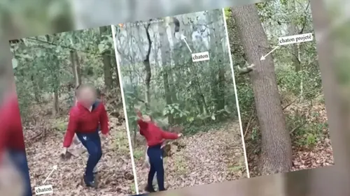 Des collégiens se filment en train de maltraiter un chaton, la...