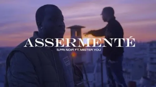 S.Pri Noir - Assermenté (feat. Mister You)