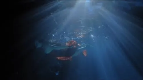 Niro - J'dois l'oublier 