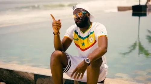 Lamatrix - Organisé