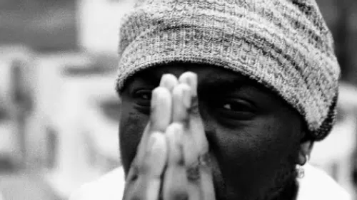 Zed - Mélodies & Pensées