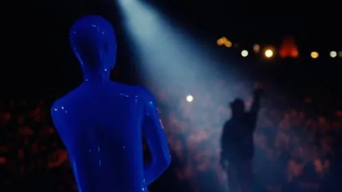 Vacra - Petit chaton