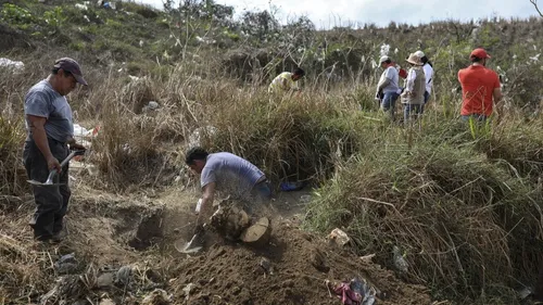 Douze cadavres découverts dans des tombes clandestines au Mexique