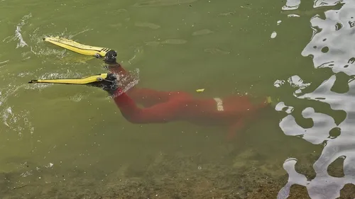 Découverte macabre de restes humains au bord de la Seine dans les...
