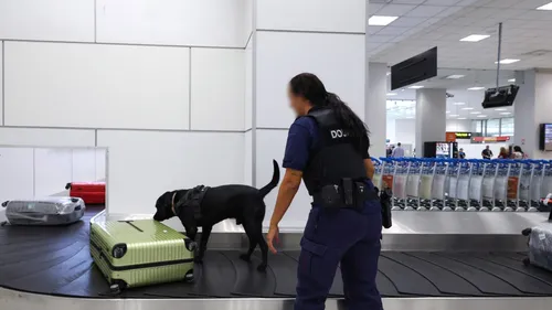 Espagne : Arrêté avec 2 kilos de cocaïne dans les cheveux 