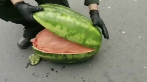 En ouvrant ces pastèques, la police tombe sur une substance...