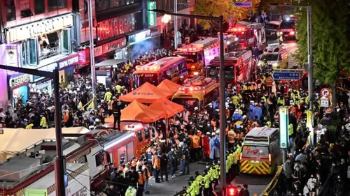 Halloween à Séoul : les retour glaçant des objets perdus pendant la...