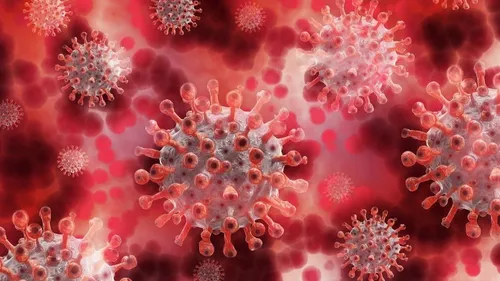 Augmentation précoce des cas de norovirus.