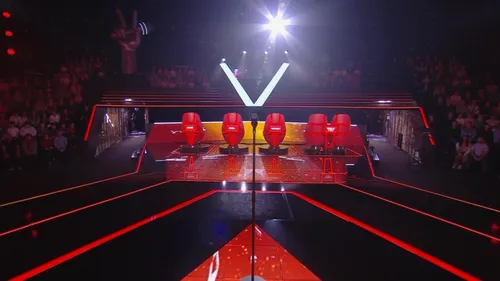 The Voice : Un jeune candidat de 29 ans décède prématurément !