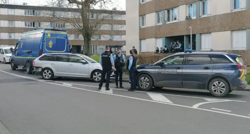 𝐀 𝐕𝐢𝐫𝐞 𝐍𝐨𝐫𝐦𝐚𝐧𝐝𝐢𝐞, 𝐝𝐞𝐬 𝐠𝐞𝐧𝐝𝐚𝐫𝐦𝐞𝐬...