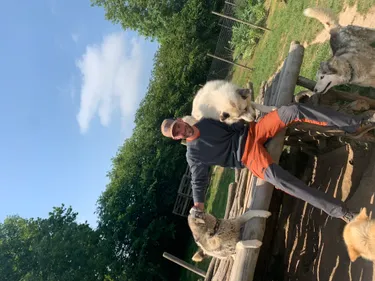 Suivez Le Guide - Will To Go